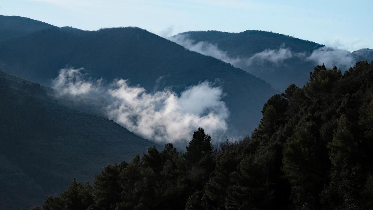 Agriturismo Il Casaletto Montefranco Kültér fotó