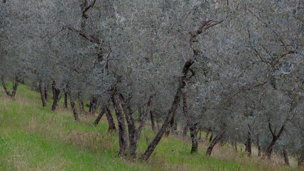Agriturismo Il Casaletto Montefranco Kültér fotó