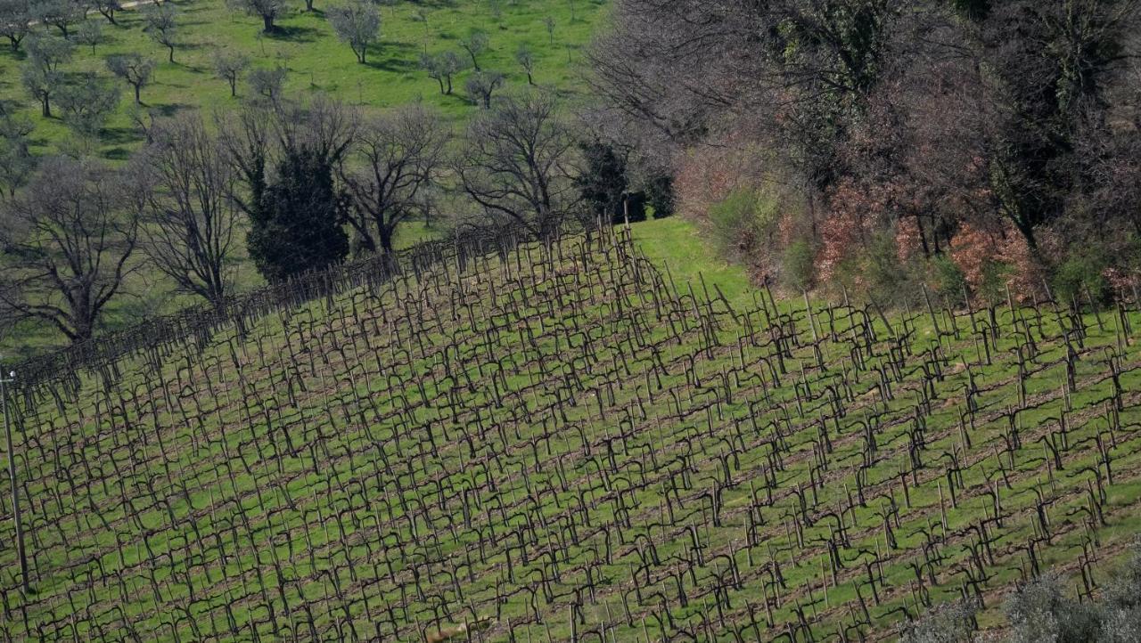 Agriturismo Il Casaletto Montefranco Kültér fotó