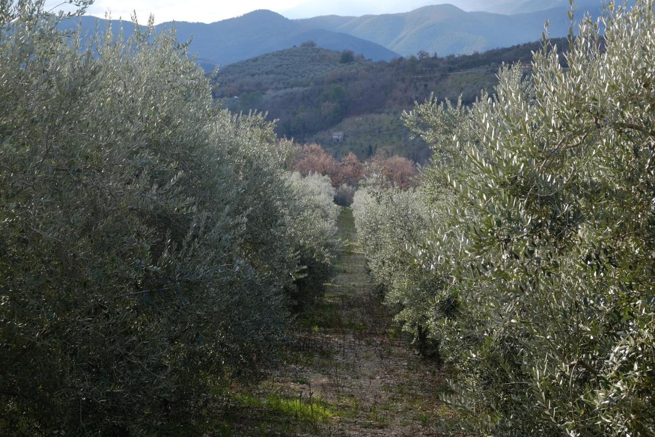 Agriturismo Il Casaletto Montefranco Kültér fotó