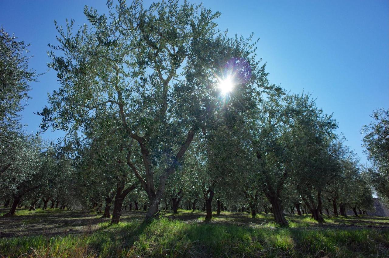Agriturismo Il Casaletto Montefranco Kültér fotó