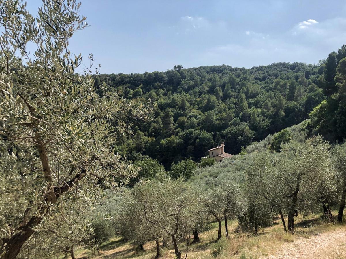 Agriturismo Il Casaletto Montefranco Kültér fotó