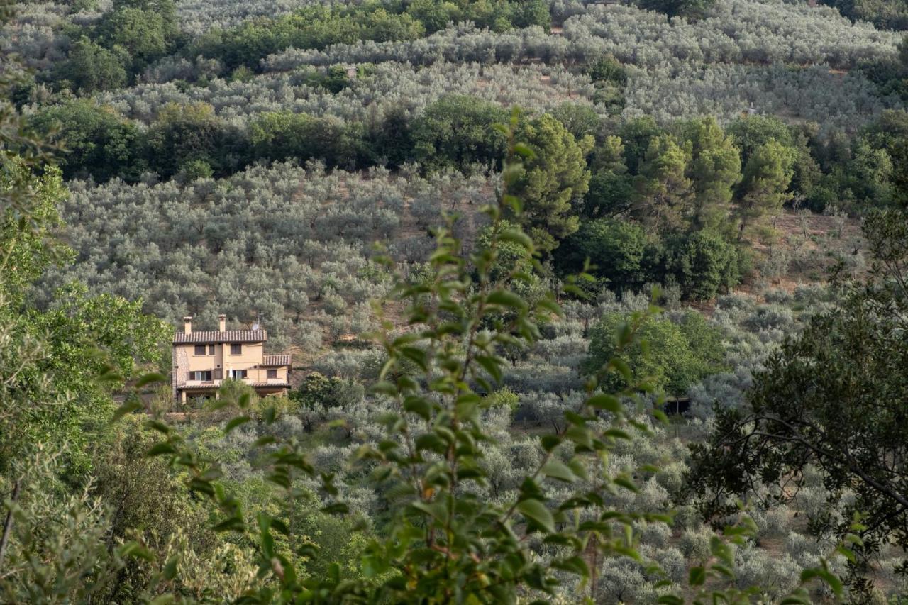Agriturismo Il Casaletto Montefranco Kültér fotó